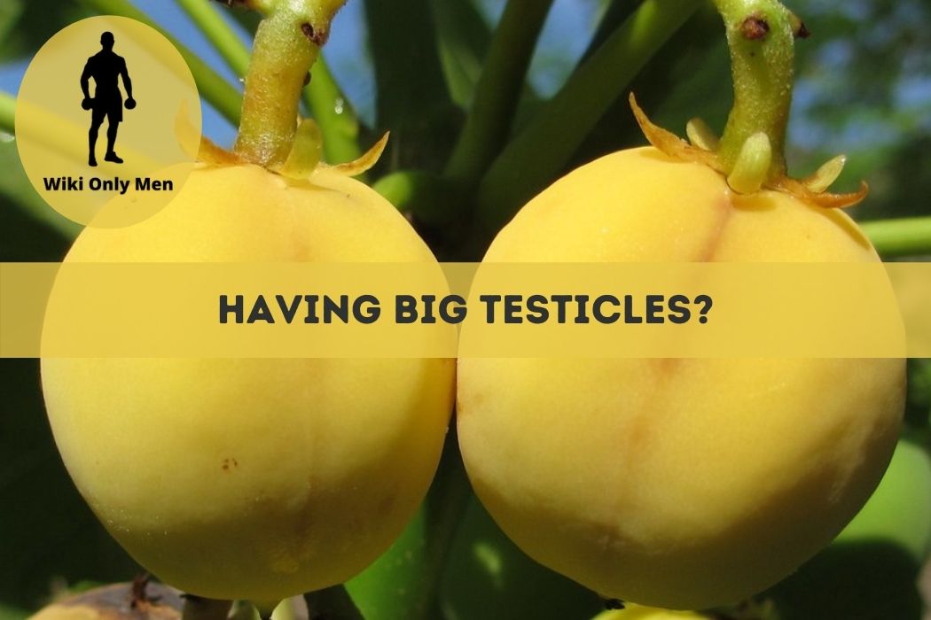 Having big testicle issues