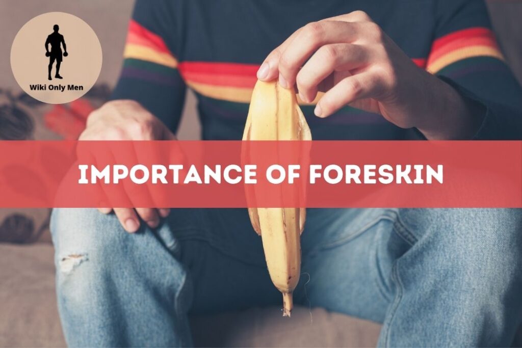 Importance Of Foreskin