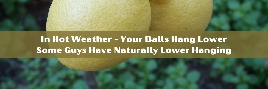 My Balls Hang Low – How Do I Know It was Normal