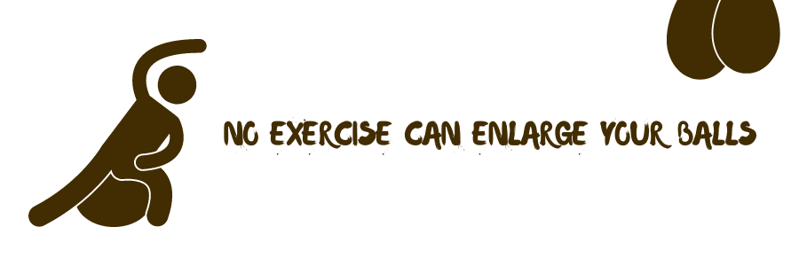 no exercise can enlarge your balls