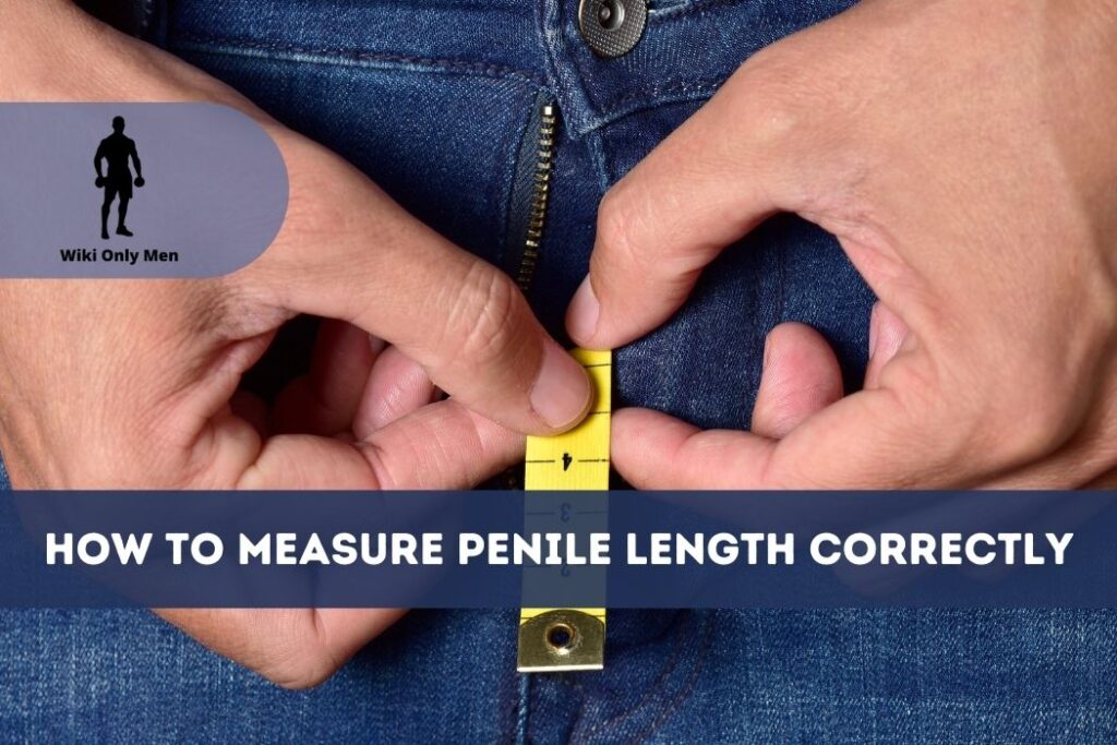 How To Measure Penile Length Correctly - guide