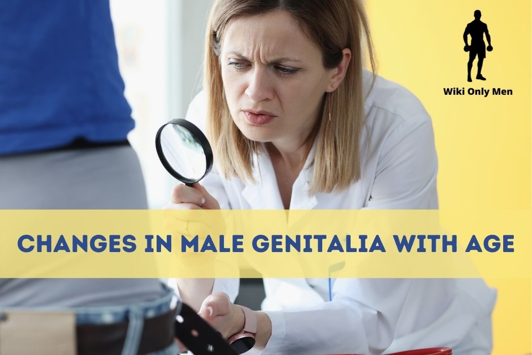 Male Genitalia With Age