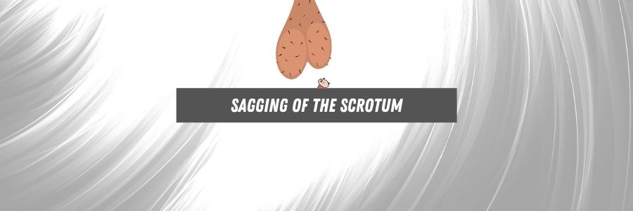 Sagging of the scrotum