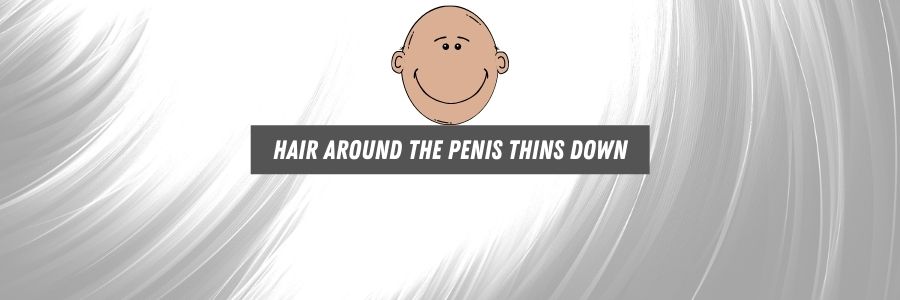 hair around the penis thins down