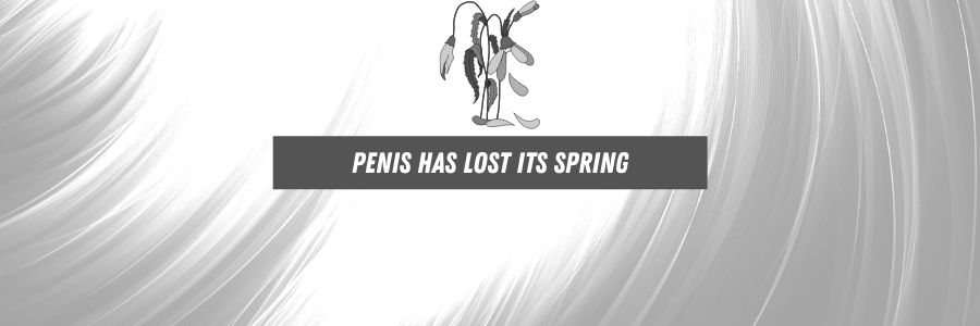 penis Has Lost Its Spring