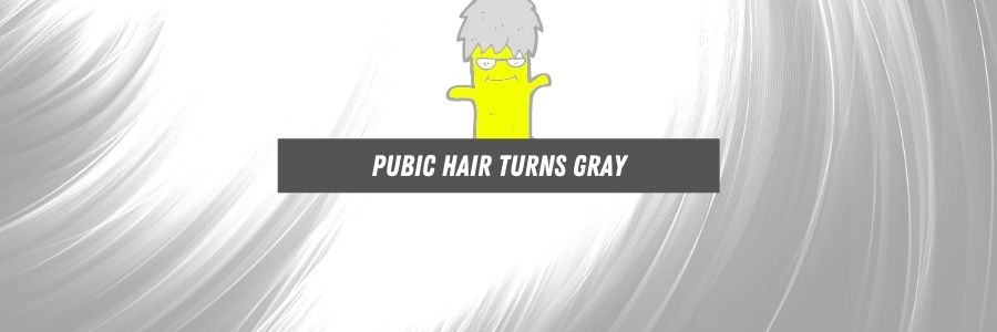 pubic hairs turns gray