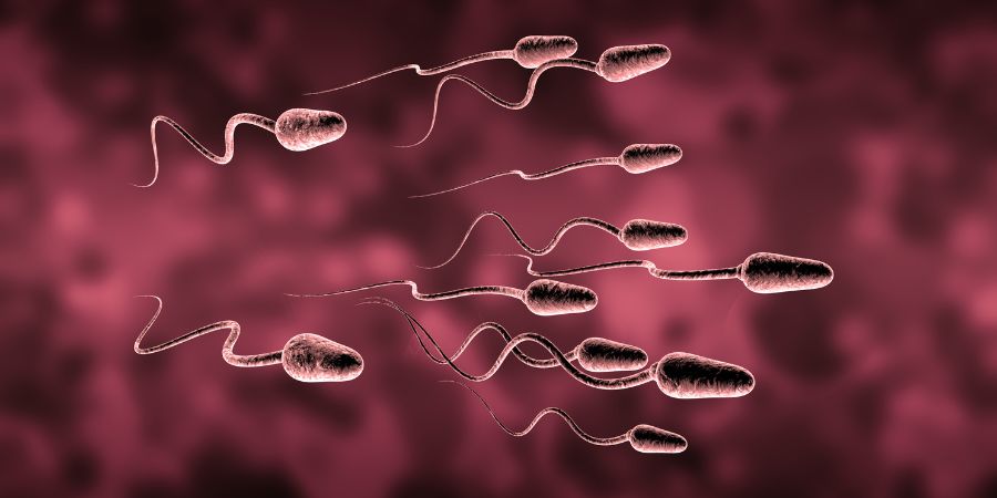 How Can Sperm Retention Be Done
