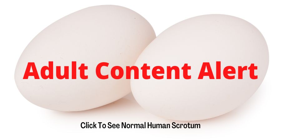Click To See Normal Human Scrotum
